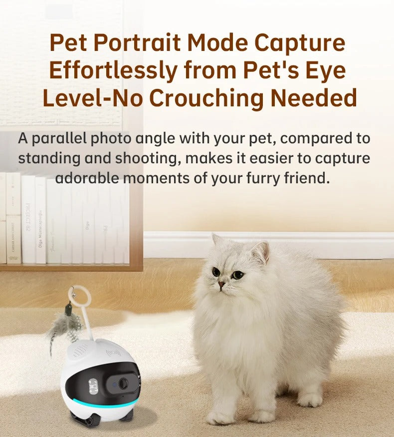 PET Monitoring WiFi Camera for Elderly and Children, Wireless 2.4G Smart Voice Robot